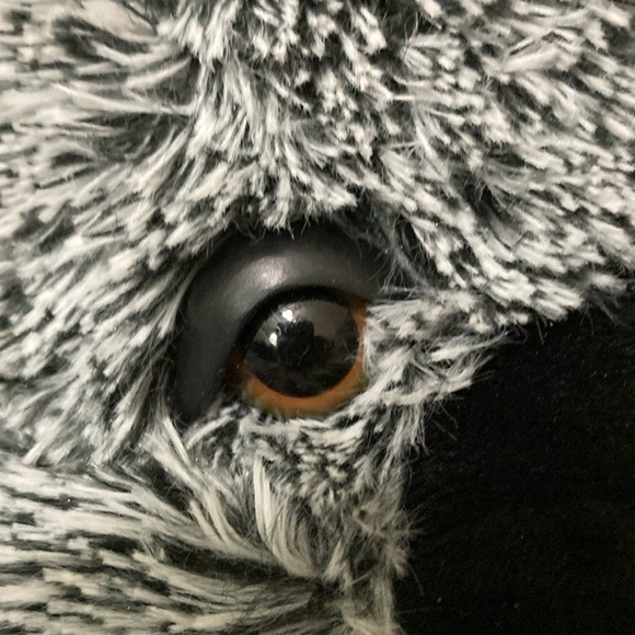 Over in Australia Book & Koala Plush - Picture 5 of 15